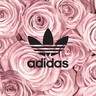 Pink Adidas wallpaper