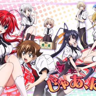 High School DxD 4K wallpaper