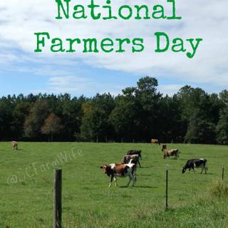 Old Farmers Day wallpaper