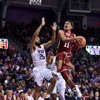 Trae Young wallpaper