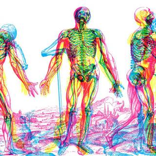 Human anatomy wallpaper