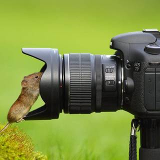 DSLR camera wallpaper