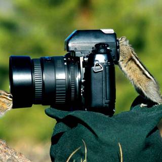 DSLR camera wallpaper