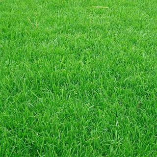 Football pitch wallpaper