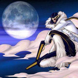 Coyote Stark wallpaper