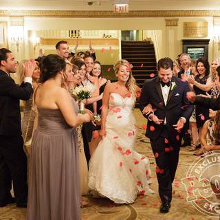 Married at First Sight wallpaper