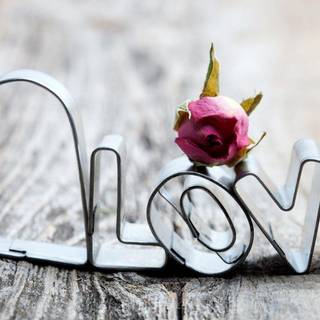 New love wallpaper 2016