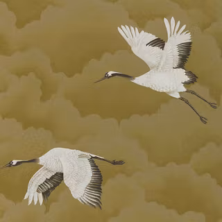 Crane bird wallpaper