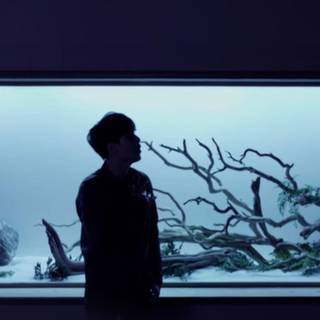 Blood Sweat & Tears wallpaper