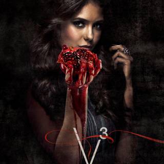 Katherine Pierce wallpaper