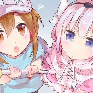 Hataraku Saibou wallpaper