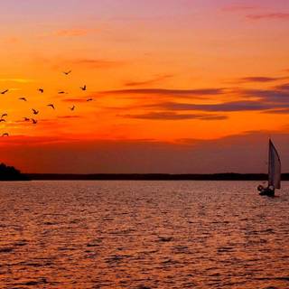 Sunset sailing wallpaper