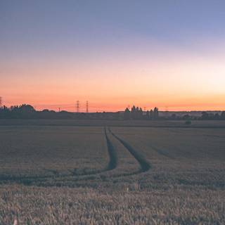 Horizon sunset wallpaper