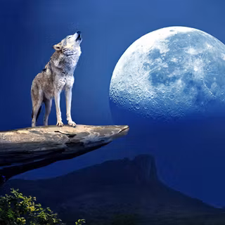 Wolf moon wallpaper