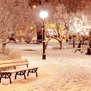 Winter season wallpaper