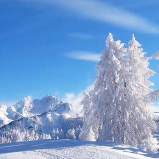 Winter season wallpaper