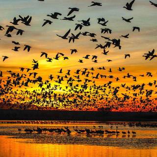 Fotography wallpaper