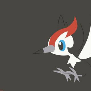 Pikipek HD wallpaper