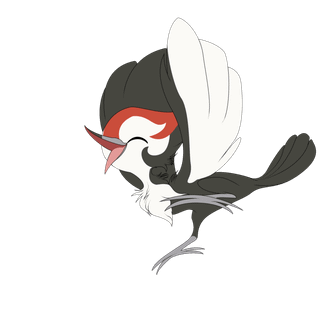 Pikipek HD wallpaper