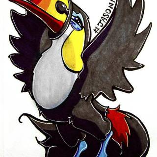 Toucannon HD wallpaper