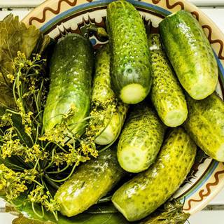 Dill pickle wallpaper