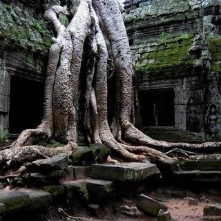 Historical photographs wallpaper