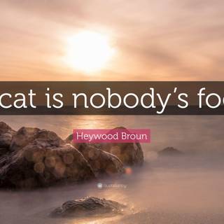 Nobody’s Fool wallpaper