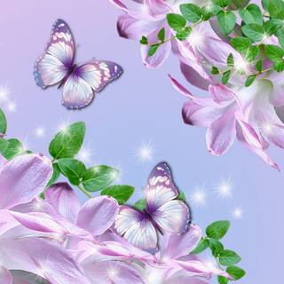 Roses butterfly wallpaper