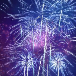 Firework night wallpaper