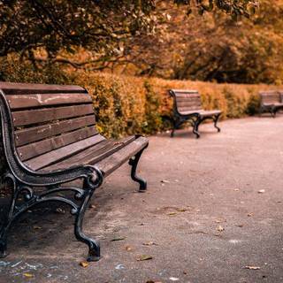 Alone chair wallpaper