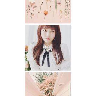 IZ*ONE wallpaper