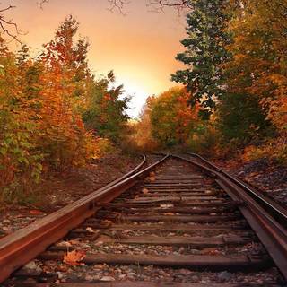Railways wallpaper