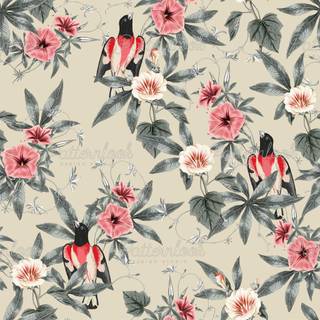 Accessories wallpaper