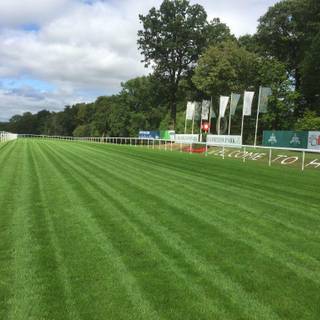 The Front Runner wallpaper