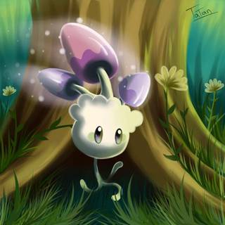 Morelull HD wallpaper