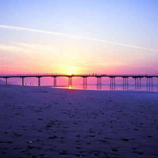 Sunset purple wallpaper