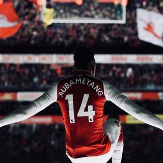 Aubameyang  Arsenal wallpaper