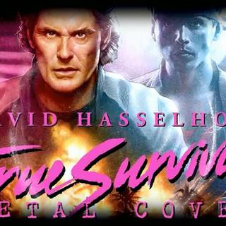David Hasselhoff wallpaper