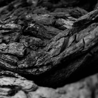 Black marble wallpaper