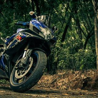 Suzuki Gixxer SF wallpaper