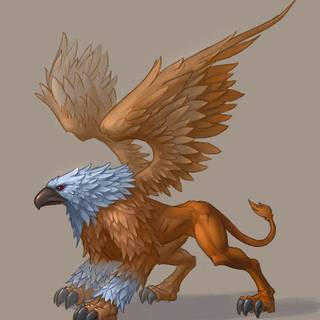 Griffin animal wallpaper
