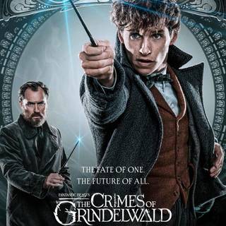 Newt Scamander wallpaper