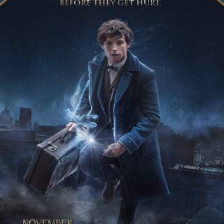 Newt Scamander wallpaper