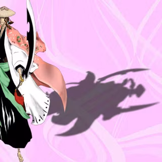 Shunsui Kyōraku wallpaper
