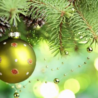 Branch Christmas wallpaper