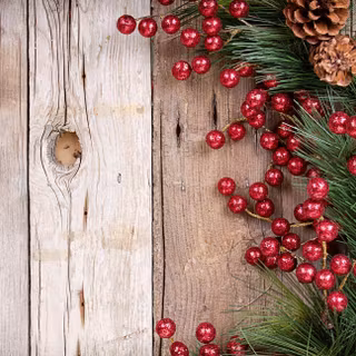 Branch Christmas wallpaper