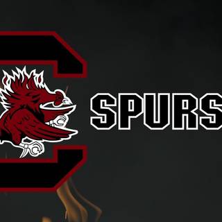 South Carolina Gamecocks football wallpaper