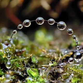 Water droplets wallpaper