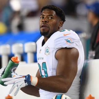 Cameron Wake wallpaper