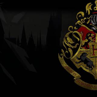 Go, Go, Gryffindor wallpaper